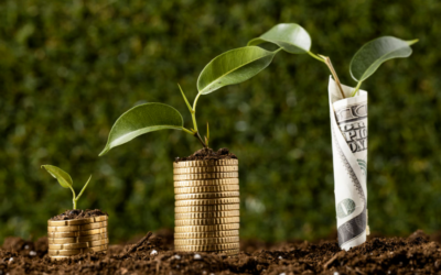 Timeless Investing Principles: A Simple Framework You Can Use in Any Market